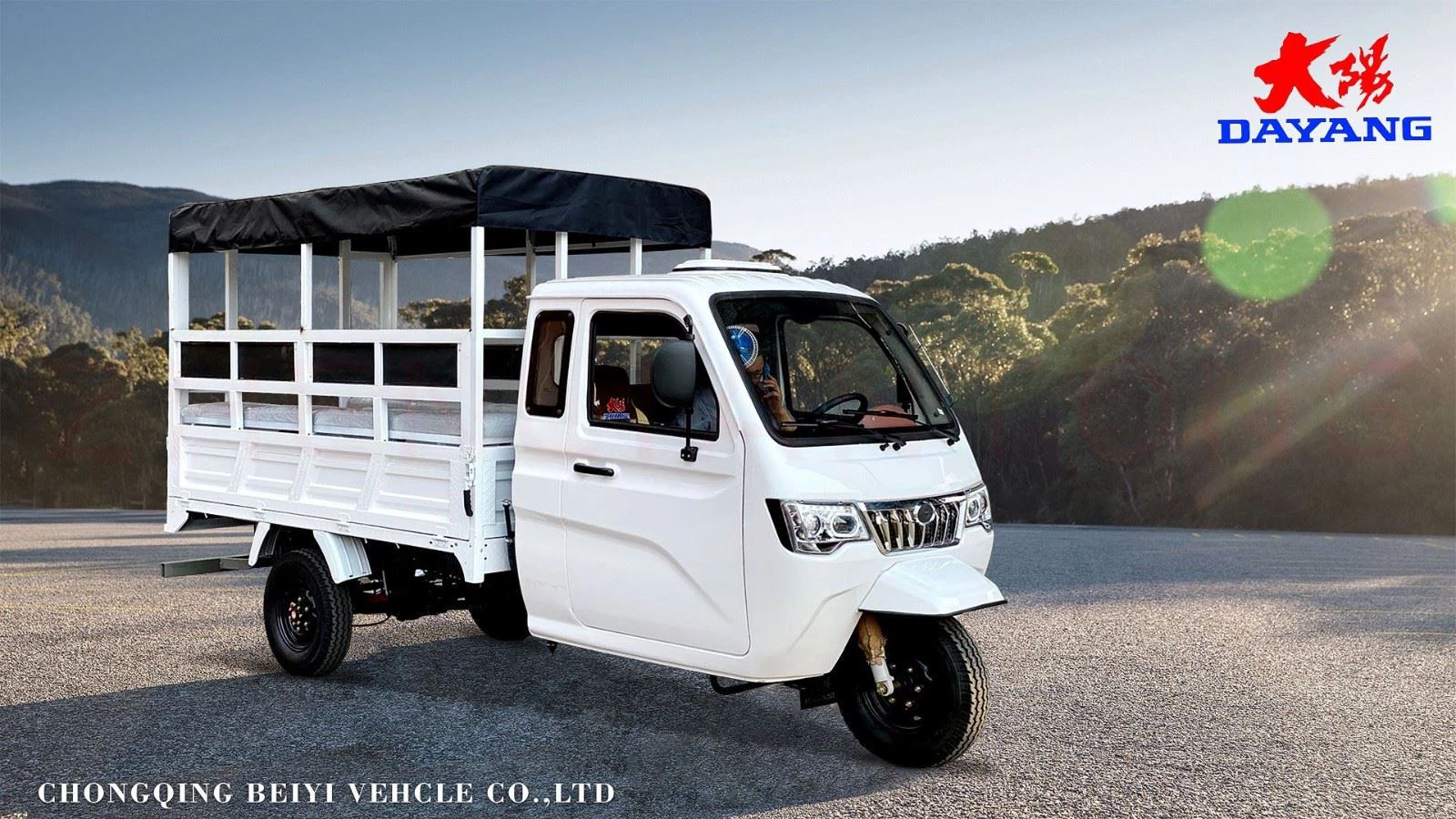 enclosed 3 wheel cargo motorcycle high quality