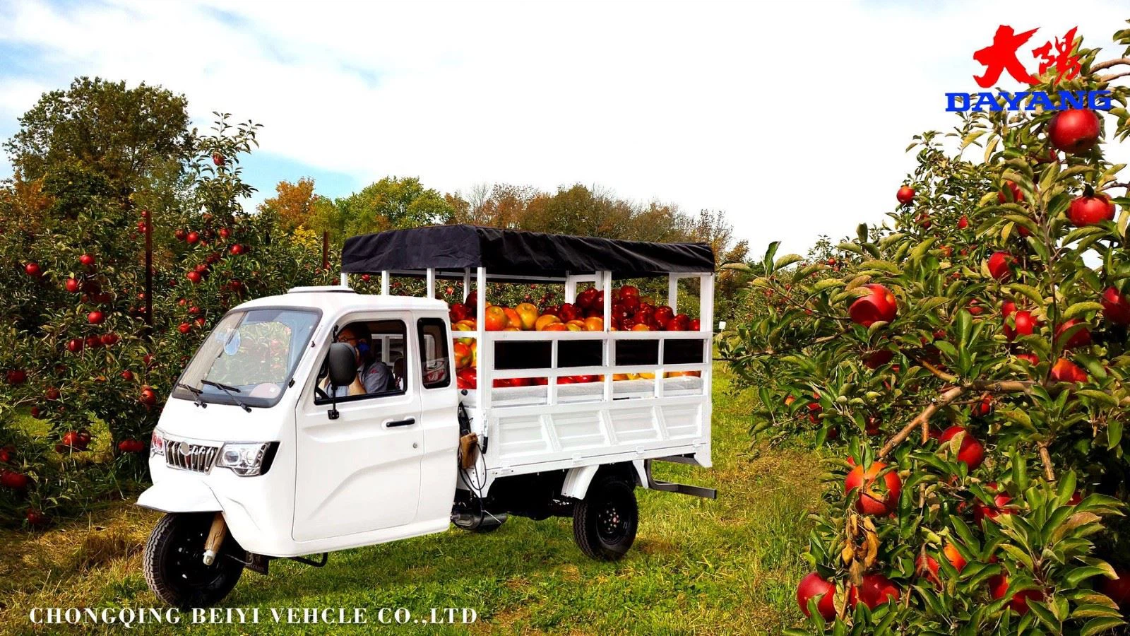 enclosed 3 wheel cargo motorcycle on sale