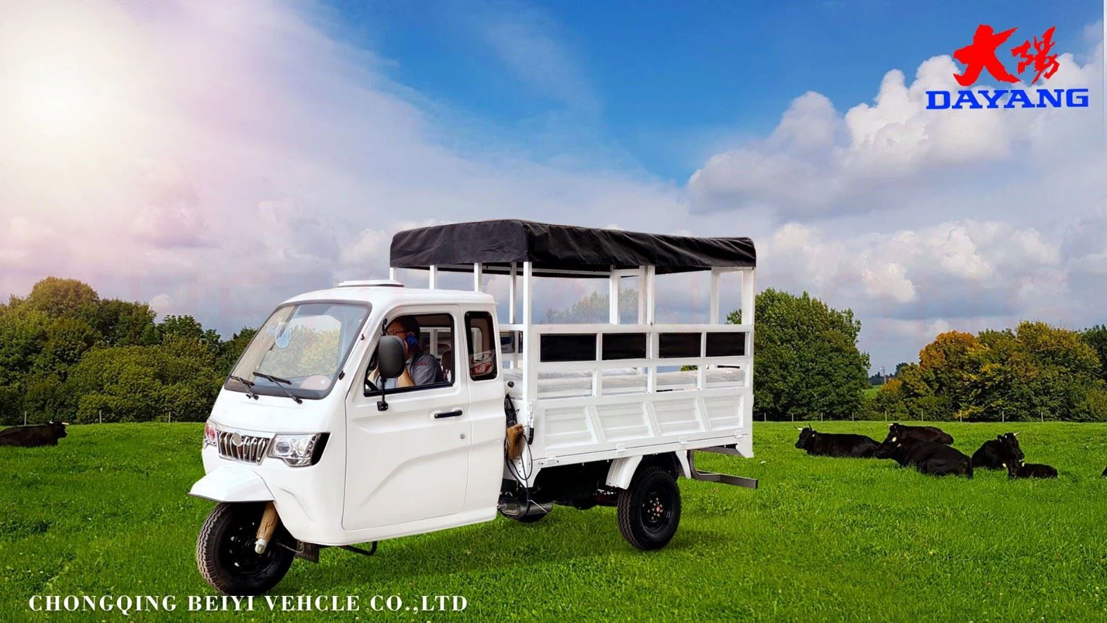 enclosed 3 wheel cargo motorcycle wholesale