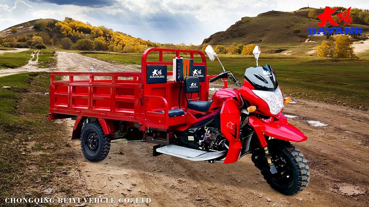 Factory supply 250cc Water Cooled Fuel Motorized Cargo Tricycle