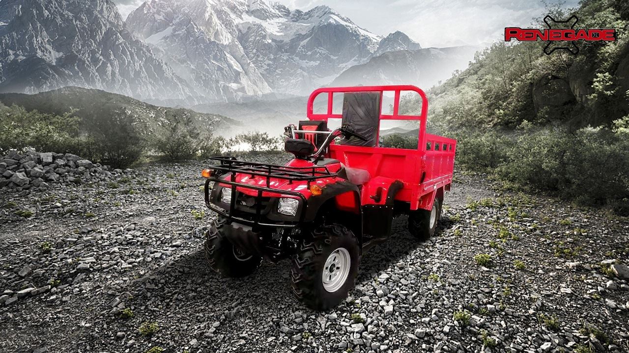 4 wheels Iron-clad cab 300cc loading ATV