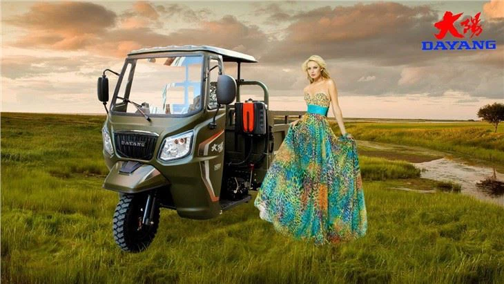 3 Wheel Adult Cargo Tricycle wholesale