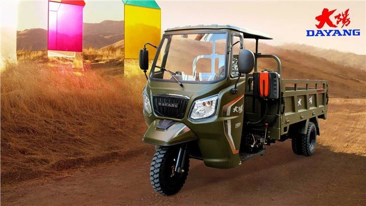 3 Wheel Adult Cargo Tricycles
