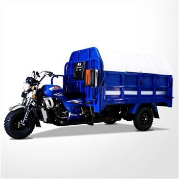 Грузовой трехколесный велосипед для сбора отходов 250CC