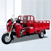 175cc 3-х колесный мотор Carga