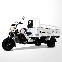 Трехколесный автомобиль Carga Tricar объемом 250 куб.