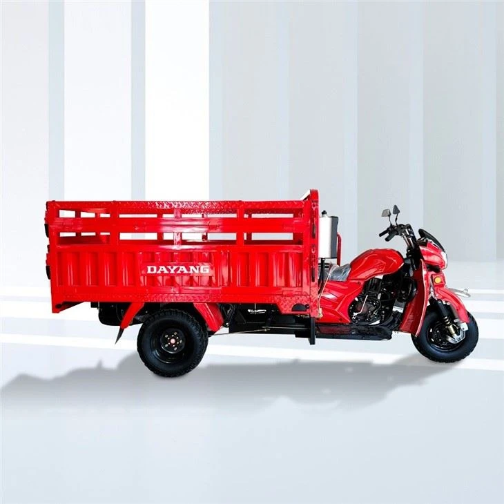 300cc Three Wheel Motor Trike Hydraulic