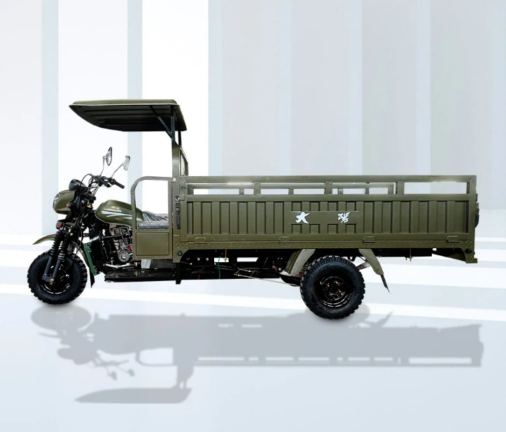 DAYANG 3 wheeler Cargo Tricycle 