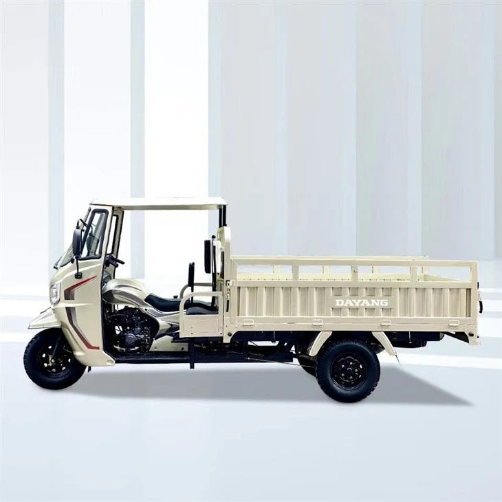 DY-SD1 DAYANG Brand Motorcycle Sells Well At Peru With 350CC Powerful Engine Cargo Tricycle