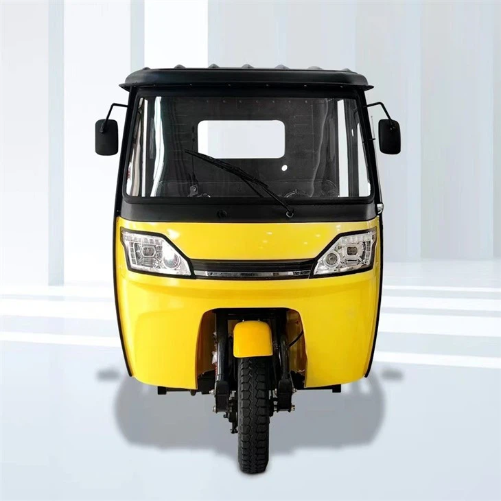 Electric Truck Cargo Tricycle