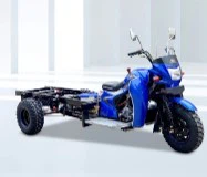 DAYANG Новый 300cc бензиновый трехколесный грузовой трехколесный велосипед