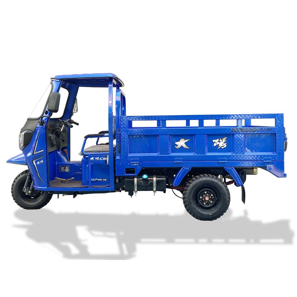 Three Wheeler Cargo Motorcycle