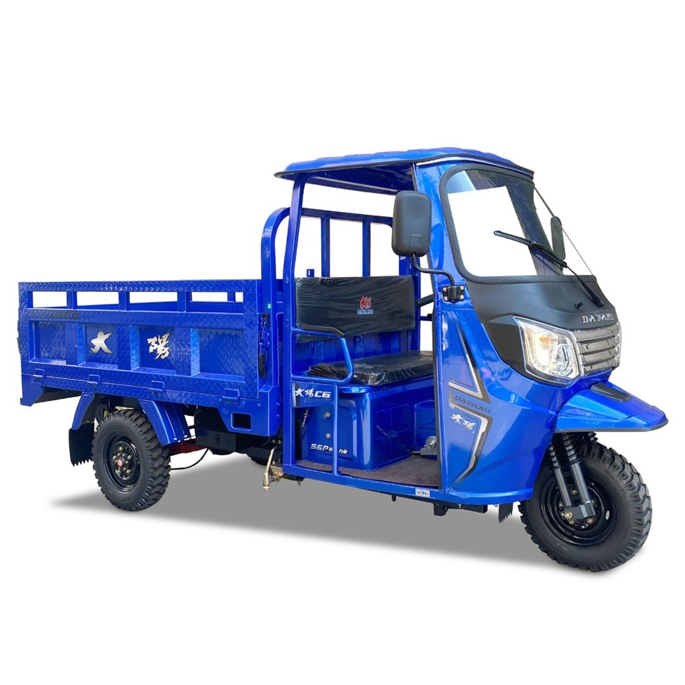 Three Wheeler Cargo Motorcycle